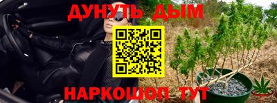 гидра Нягань